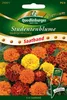 Saatband Studentenblumen, niedrige Mischung Produktbild-Vorschau 4