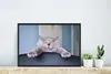 MuchoWow® MuchoWow® Gerahmtes Poster Katze - Angst - Stuhl Produktbild-Vorschau 5