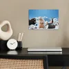 MuchoWow® Poster Tiere - Große Fünf - Arktis 30x20 cm - Produktbild-Vorschau 3