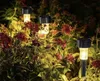 Solar garden lights illuminating flowers at night. Anteprima dell’immagine prodotto