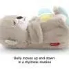 Fisher-Price Lontra del sonno Anteprima dell’immagine prodotto 26