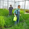 Marolex Drucksprüher Drucksprühgerät Pumpsprüher Produktbild-Vorschau 5