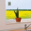 Digitales Fensterthermometer mit Maximal- und Minimalwerten Produktbild-Vorschau 5