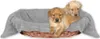 Hundedecke - Tierdecke, Maße: 90x140 cm, Farbe: Hellgrau Produktbild-Vorschau 1