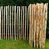 Staketenzaun Gartenzaun Zaunlatte Holzzaun Haselnussholz Produktbild-Vorschau 4