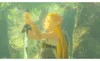 Nintendo The Legend of Zelda: Breath of the Wild - Switch 2 Podgląd zdjęcia produktu 3