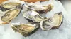apriostriche 'presto seafood' 15 cm Anteprima dell’immagine prodotto 10