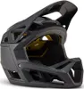 FOX PROFRAME Downhillhelm M in schwarz Produktbild-Vorschau 2