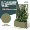 XL Gartenspalier 'Ethica' mit Pflanzkübel Breit 80x36x140 Produktbild-Vorschau 2