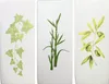 BENTA Verdunster „Plants“ 11397 Ker.verdun Ster Plants Produktbild-Vorschau 2