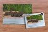 MuchoWow MuchoWow® Puzzle 1000 ks Čtyři kapybary sedící na Náhled obrázku produktu 2