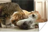 MuchoWow® Poster Katze - Hund - Tiere 120x80 cm - Bilder Produktbild-Vorschau 1