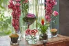Dekoglas, Vase ZYLINDER H. 11cm D. 9cm transparent rund Produktbild-Vorschau 2