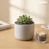 ALPERRA Dekosplitt 2-5 mm 4 kg Zierkies für Vase Garten & Produktbild-Vorschau 4
