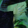 HOMCOM 183 cm Dekoracja na Halloween Czarownica z Podgląd zdjęcia produktu 4