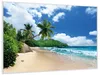 Wallario Wandbild Urlaub auf den Seychellen unter Palmen am Produktbild-Vorschau 2