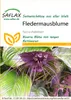 Artikelbild 1 von 'Fledermausblume' aus der Kategorie Exotische Samen Podgląd zdjęcia produktu