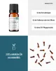 Gewürznelke (10ml) - naturreines, ätherisches Öl von Produktbild-Vorschau 2