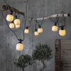 Fata LED CIRCUS - 10 globi opachi, D: 8cm - LED bianco Anteprima dell’immagine prodotto 1