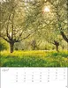 Jenseits der Hast Posterkalender 2027 Produktbild-Vorschau 9