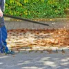 A person is using a leaf blower on a sidewalk next to a street and a hedge. Anteprima dell’immagine prodotto