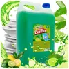 A large bottle of green dish soap with citrus fruits and splashing liquid around it. Náhled obrázku produktu