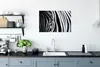 MuchoWow® Poster Nahaufnahme eines Zebras 60x40 cm - Produktbild-Vorschau 3