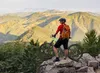 SachsenRAD E-Racing Mountainbike M5 Centro, 29 Zoll MTB mit Produktbild-Vorschau 5