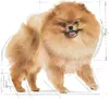 Royal Canin BHN Pomeranian Adult 1,5kg Karma Sucha Dla Psów Podgląd zdjęcia produktu 8