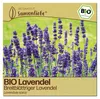 Samenliebe  Lavendel Samen | Breitblättriger Lavendel - Produktbild-Vorschau 1
