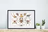 MuchoWow® Gerahmtes Poster Retro - Spinne - Ernst Haeckel - Produktbild-Vorschau 4