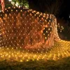 Guirlande lumineuse LED Peviasot, 3x2 mètres, lumière Voir les images du produit 9