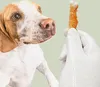 Hundeleckerli - Kalksteinwürfel mit Huhn Mersjo 500g Produktbild-Vorschau 14
