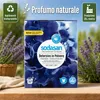 Detersivo lavatrice colorati, Detersivo bucato, Lavanda, Anteprima dell’immagine prodotto 5
