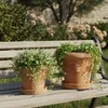 Teramico Terracotta Topf "Limoni" Frostfest optional mit Produktbild-Vorschau 8