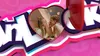 Jumbo FunLockets - Geheimes Tagebuch, Bastelset für Kinder, Produktbild-Vorschau 8