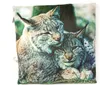 Stoffkissen mit Luchs Motiv, 35x35 cm, aus Polyesterfaser, Produktbild-Vorschau 1