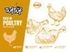 TufTuf | Hundefutter - Nassfutter Geflügel - TufTuf Riegel Produktbild-Vorschau 6