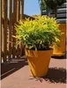 Blumentopf Riviera Gelb Ø 60 cm Produktbild-Vorschau 1