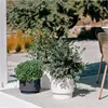 Blumentopf mit Einsatz HEOSE anthrazit 29,8 cm Produktbild-Vorschau 8