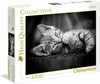 Clementoni Puzzle 39422 - Koťátko (1000 dílků) Náhled obrázku produktu 5