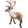 Mojo Fun Reindeer, 3 rok / roky, Wildlife, Hnedá, Náhľad obrázku produktu 4