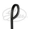 GATES AV17x1450HD Keilriemen 1450mm für IVECO EuroTech MT Produktbild-Vorschau 4