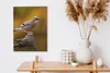 MuchoWow® - Leinwandbilder - Vogel - Zweig - Eichelhäher, Produktbild-Vorschau 3