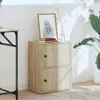 A wooden cabinet with two doors, a framed picture, and books on top, placed next to a desk and a large plant. Náhled obrázku produktu