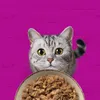 Whiskas Hühnereintopf Gelee 40 x 85 g Náhľad obrázku produktu 8