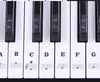 Piano Stickers - Keyboard Stickers - Eenvoudig Muzieknoten Productafbeelding-voorbeeld 4