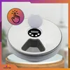 A white automatic pet feeder is displayed on a wooden stand, with a graphic overlay indicating a click action. Anteprima dell’immagine prodotto