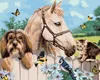 Zuty - Malen nach Zahlen - HUND, PFERD UND KÄTZCHEN (HOWARD Produktbild-Vorschau 1