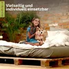 A young girl is sitting on a bed with a dog, in a room with brick walls and plants. Produktbild-Vorschau